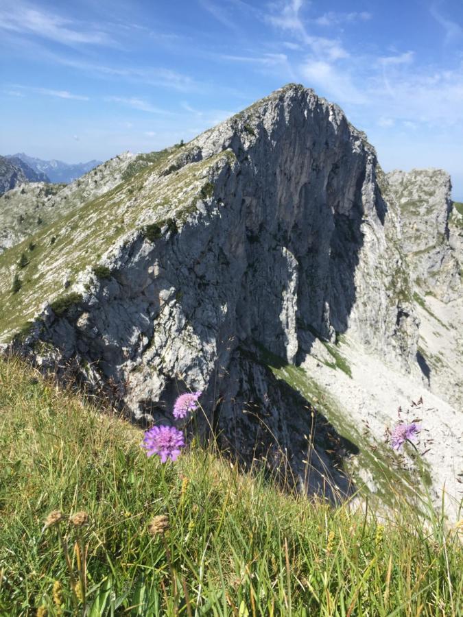 Bergnest Bad Bayersoien Exterior foto