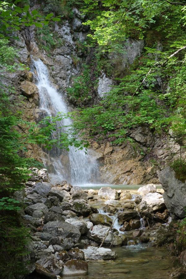 Bergnest Bad Bayersoien Exterior foto
